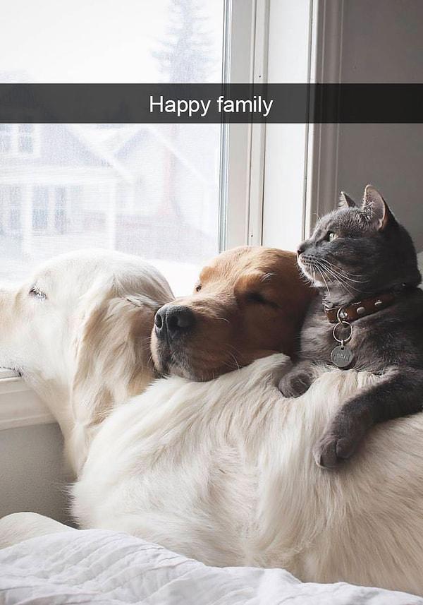 15. Mutlu aile tablosu.