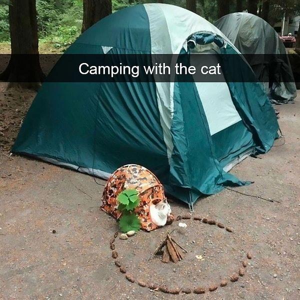 23. "Kediyle kamp."