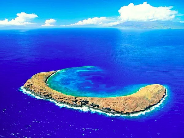 10. Какая из этих стран имеет самую длинную береговую линию?