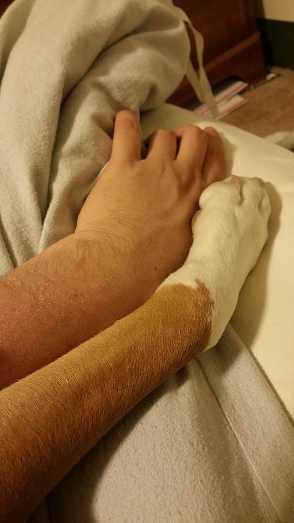 16. 'Отправил этот снимок моей девушке, чтобы она ревновала'