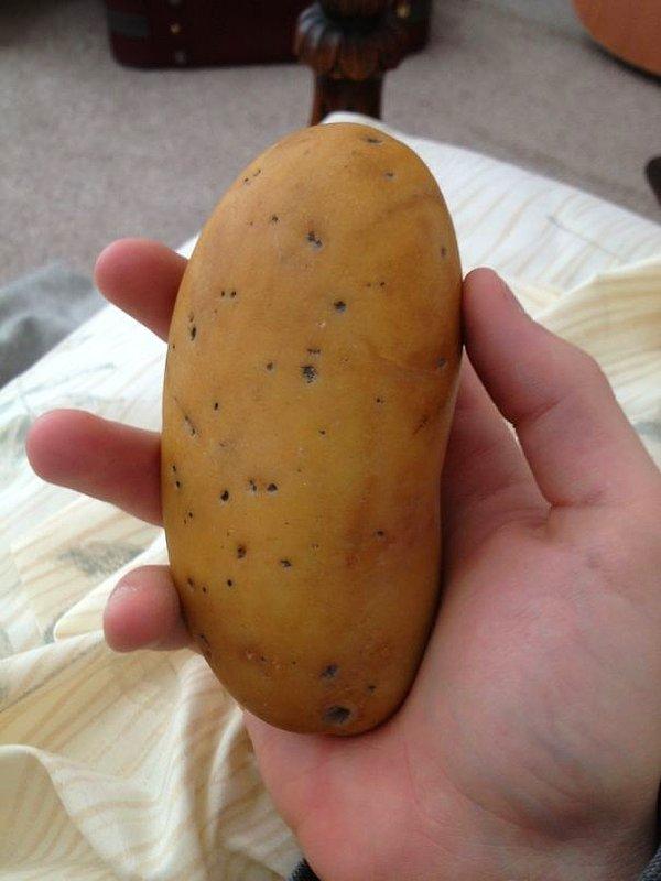 4. Patates gibi göründüğüne aldanmayın, resmen taş!