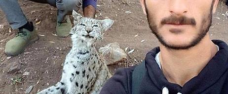 Koruma Altındaydı... Erzurum'da İki Kişi Nesli Tükenmek Üzere Olan Vaşağı Öldürüp 'Selfie' Çekti
