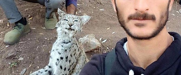 Bir vahşet de iki kişinin öldürülen vaşakla birlikte çektirdikleri fotoğrafı sosyal medyada paylaşmasıyla ortaya çıktı.