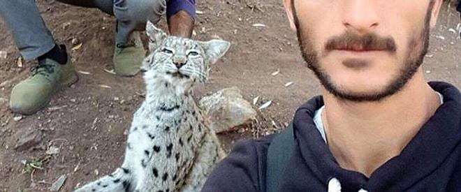 Koruma Altındaydı... Erzurum'da İki Kişi Nesli Tükenmek Üzere Olan Vaşağı Öldürüp 'Selfie' Çekti