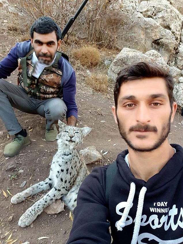 Fotoğrafın sosyal medyada yayılması üzerine Milli Parklar Şube Müdürlüğü soruşturma başlattı.