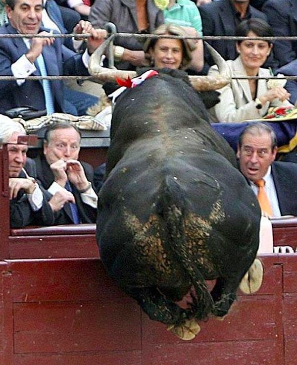 7. "Набеги быков"