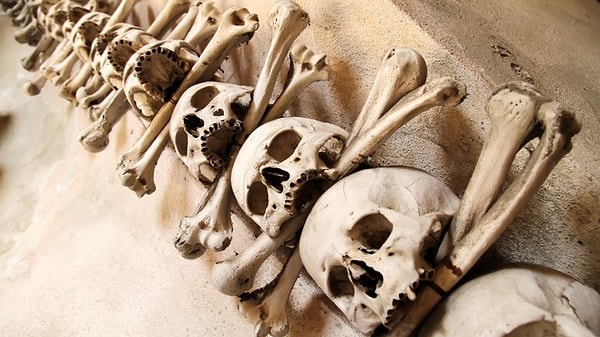 8. Подростки могли стать объектом жертвоприношения