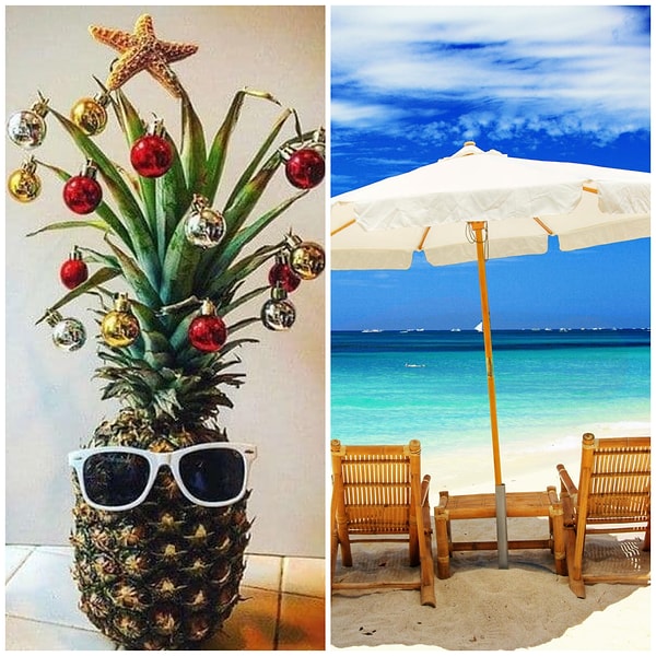 19. Бонус: тропическая «елка» для тоскующих по России эмигрантов 😂😂😂