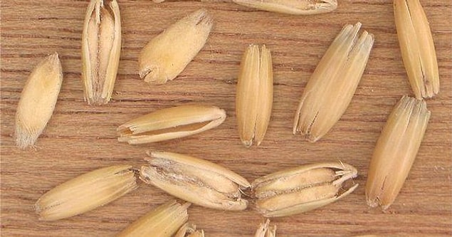 Gluten nedir?