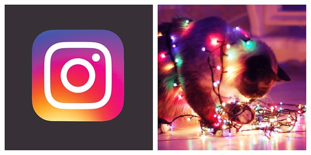 7 самых лучших фото и видео недели из нашего Инстаграма