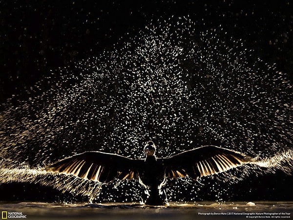 25. Время шоу, Бенс Мат