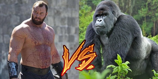 Hangisi Döver? ⚡️ Dünyanın En Güçlü İnsanı mı, Sıradan Bir Goril mi?