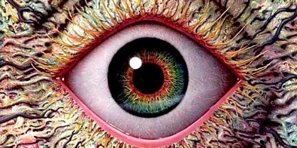 Визуальный тест на внимательность, который способны пройти всего 10% человек