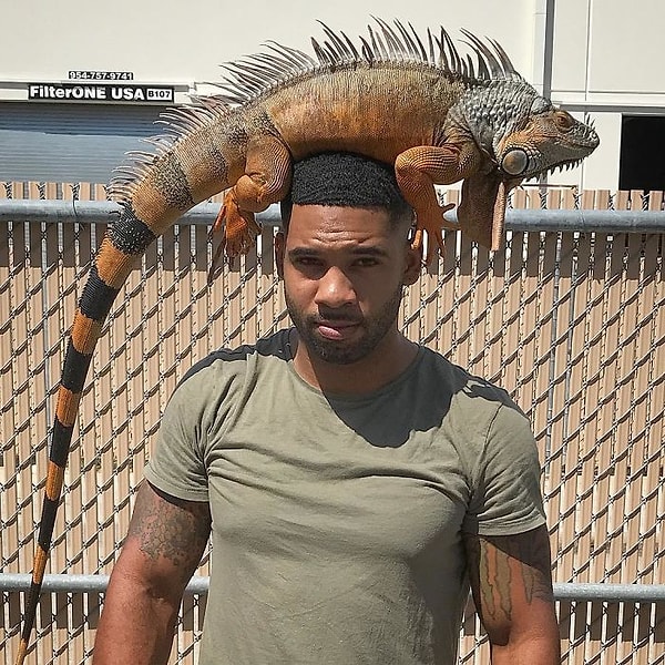 Каким бы странным нам не казалось есть бананы с обезьянами, танцевать со змеями или обниматься с тиграми, его повседневная жизнь проходит именно так.