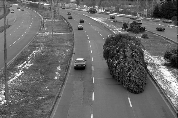 4. Перевернутая елка