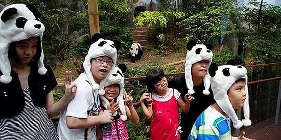 Фанаты панд, объединяемся! Эти 24 мимишных вещи приведут вас в полный восторг