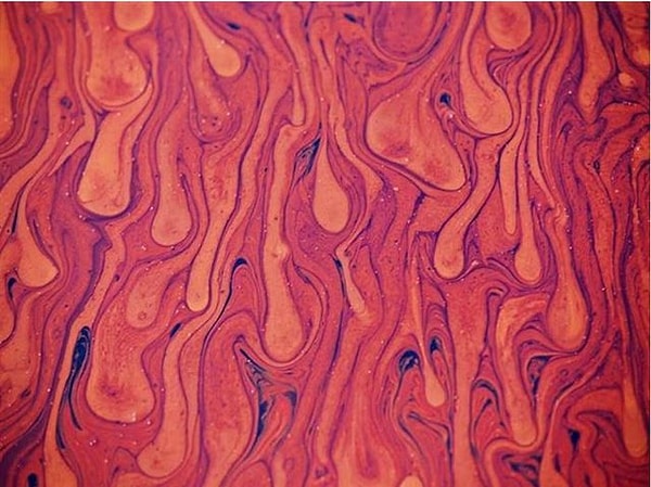 4. А тут что у нас?