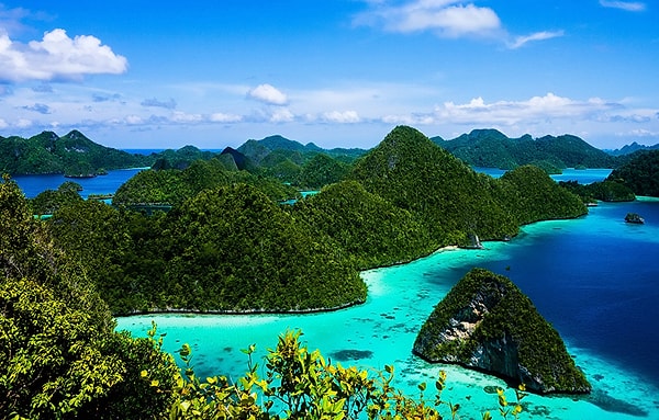 8. Нидерландская Ост-Индия?