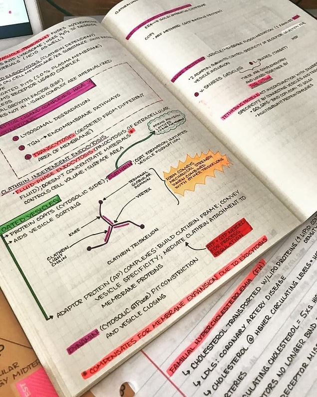 3. Ne kadar düzenli olduğuna inanamıyoruz! 😍