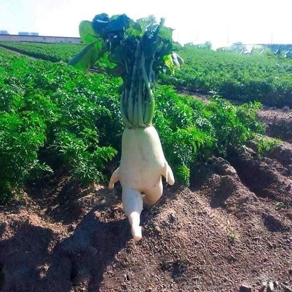 11. "Немного воздухом подышу и вернусь" ✌️