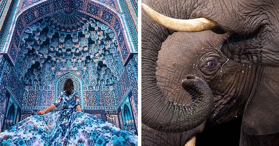 Застывшие мгновения уходящего года: 20 лучших фотографий 2017-го