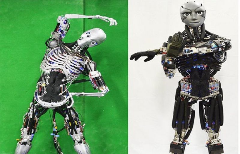 Что находится внутри роботов Japon Bilim İnsanlarından Sportif Robot: Şınav Çekip, Terliyor!