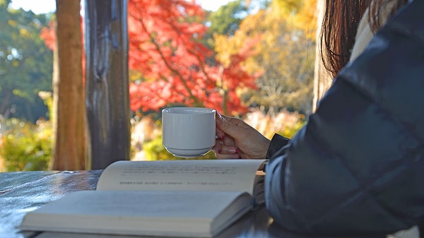 2. «Люди, как люди. Любят деньги, но ведь это всегда было… Человечество любит деньги, из чего бы те ни были сделаны, из кожи ли, из бумаги ли, из бронзы или золота. Ну, легкомысленны… ну, что ж… обыкновенные люди… в общем, напоминают прежних… квартирный вопрос только испортил их…»