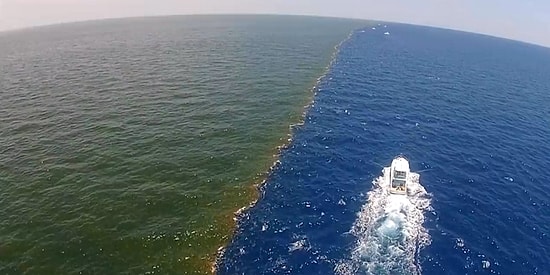 Mississippi Nehri'nin Meksika Körfeziyle Buluştuğu Yer: Ölü Bölge