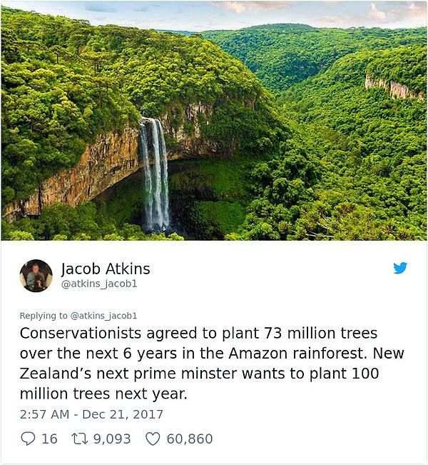 "Çevreciler gelecek 6 yıl boyunca Amazon yağmur ormanlarına 73 milyon ağaç dikmeyi kabul etti. Yeni Zelanda'nın yeni başbakanı gelecek yıl 100 milyon ağaç dikmeyi planlıyor."