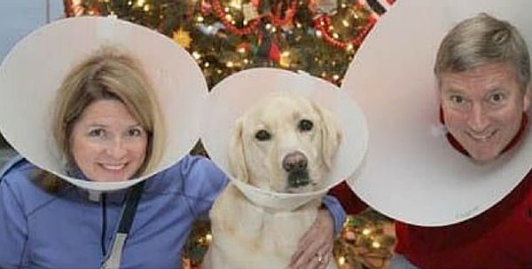 20. Истинная любовь - это ведь поддержка!