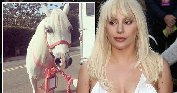3. Леди Гага - пони