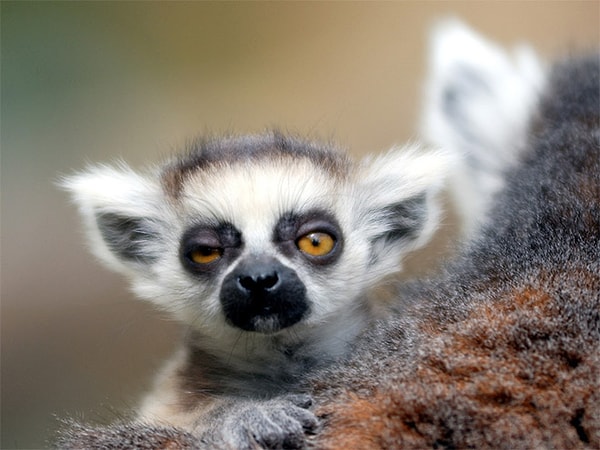 6. "А что вчера было-то? Расскажите, а?"