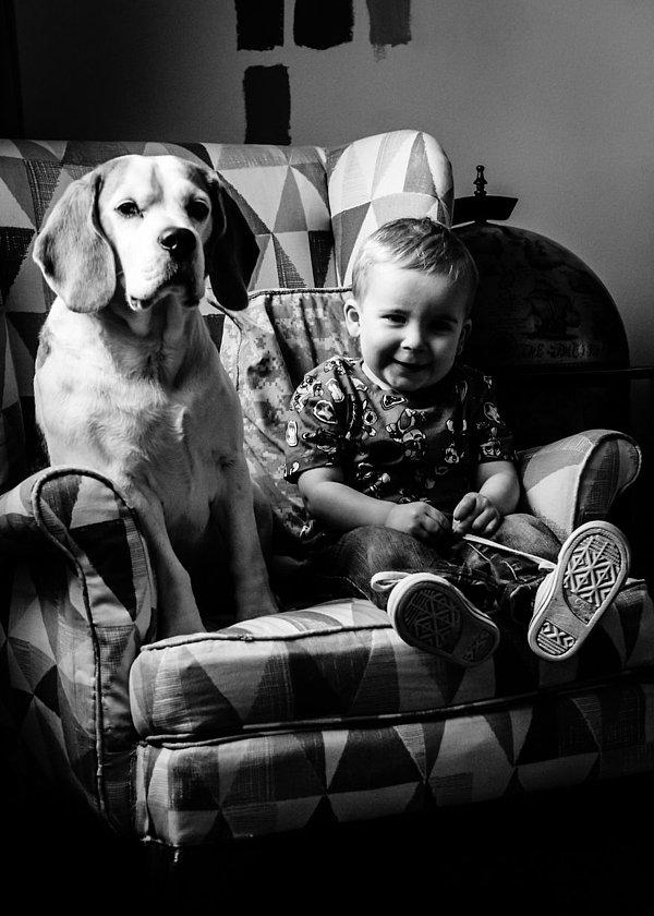 3 senedir oğlunu ve ailenin beagle cinsi olan patili üyesini birlikte fotoğraflıyor, hem de aynı koltukta. 🤗