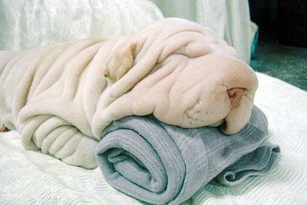 8. О боже, вы только посмотрите на это! А ведь это просто полотенца...