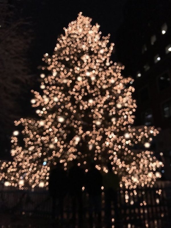 7. Ну а здесь горе-фотограф решил сконцентрироваться на боке...