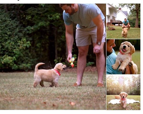 9. Yeni bir yavru köpek sahiplenince heyecanına yenik düşüp profesyonel fotoğrafçı tutan bu minnoş baba.