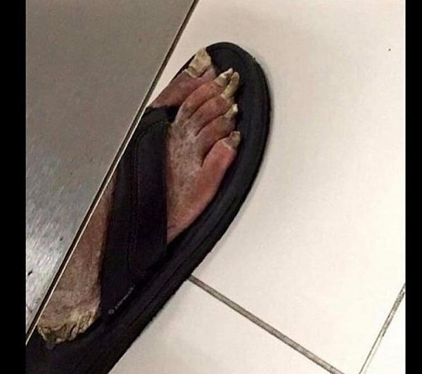 4. Все, больше в общественные туалеты ни ногой