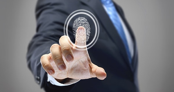 3. Какие животные имеют индивидуальные отпечатки пальцев, как и человек?