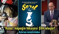 Pek Yakında Herkesin Konuşacağı Filmlerden İlk Sizi Haberdar Edecek 15 Duyuru