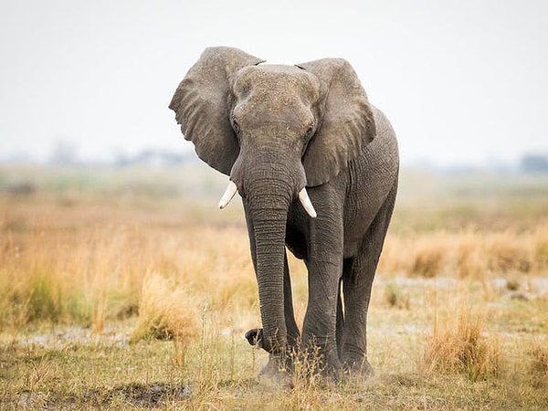 1. Выберите рисунок, который нашел отклик в вашей душе