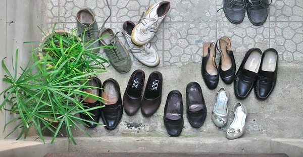 8. И даже когда птенцы вылетают из своего гнезда, семья все равно собирается вместе.