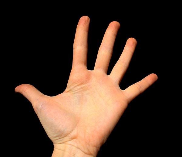 20. Ellerinizi rahat bir şekilde düz bir zemine koyarak açtığınızda, parmak aralarınızdaki boşluklar geniş ise bu sizin açık fikirli ve yenilikçi olduğunuza işaret ediyor.