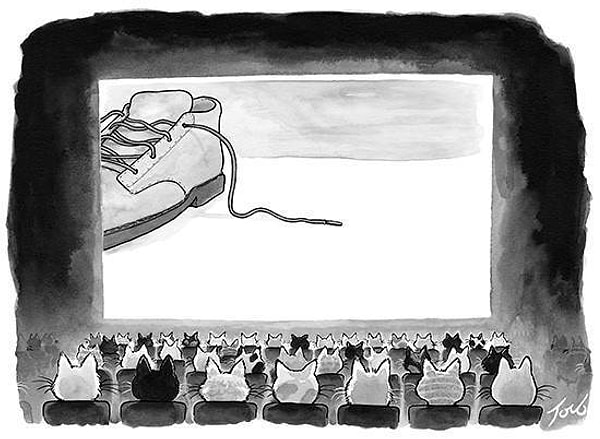 10. Кошачий блокбастер