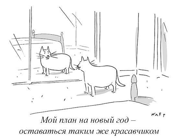 13. Когда знаешь, что ты красавчик