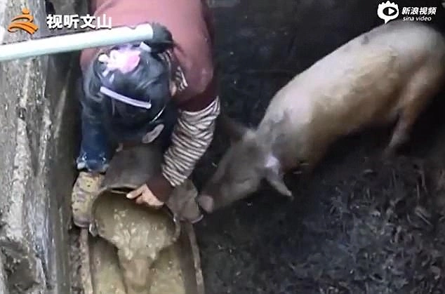 Küçük kız aynı zamanda ev işlerine de yardım ediyor.