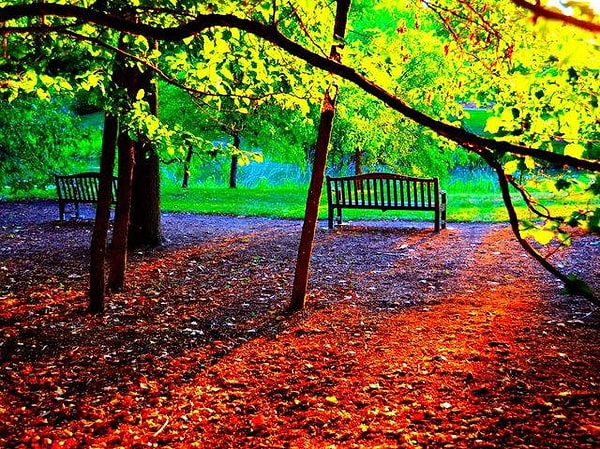 1. Какой цвет на этом фото привлекает вас больше всего?