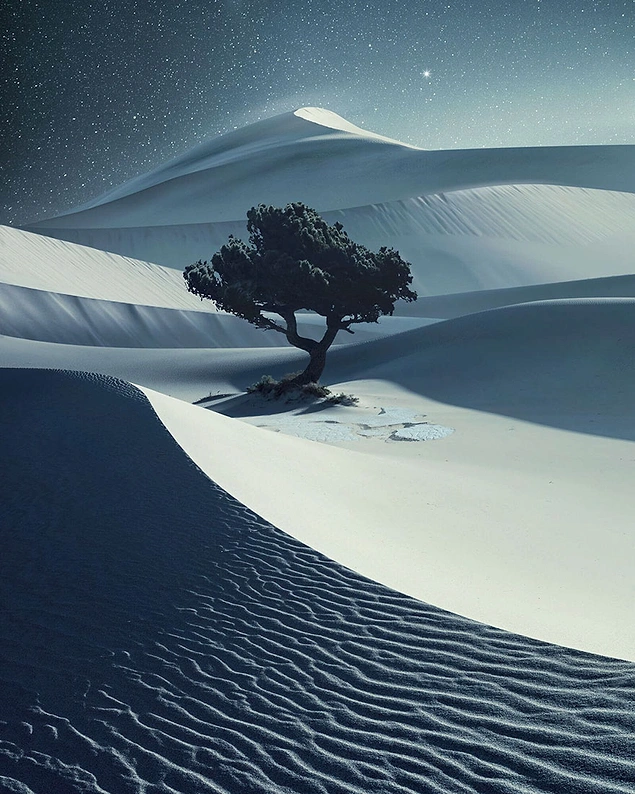 2018 Prestijli Hasselblad Masters Ödülleri'ni Kazanan Büyüleyici Fotoğraflar