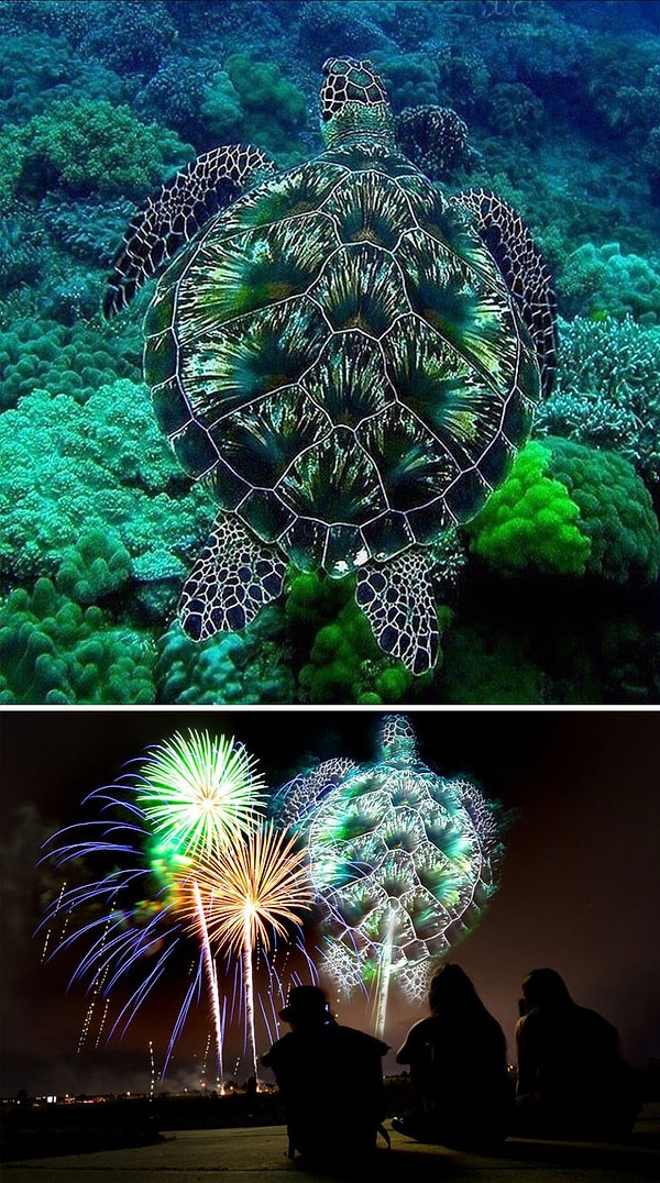 13. "Украшение в море"