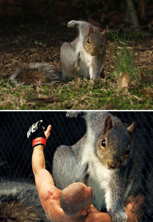 23. "Белка в позе супергероя"