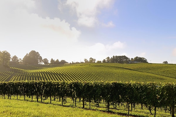 1. Аделаида, Австралия